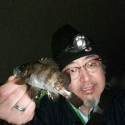 雨の中でもメバリング( ＾ω＾ )